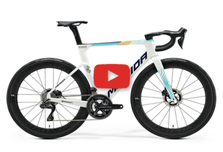 TBV-REACTO TEAM 2025