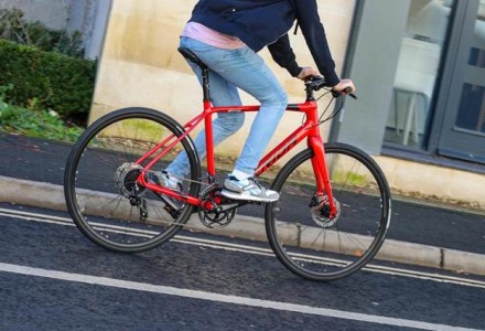 היבואן הגדול בישראל