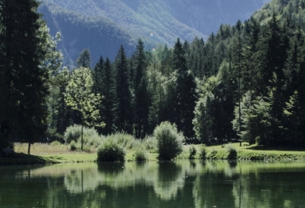 יום כדור הארץ 