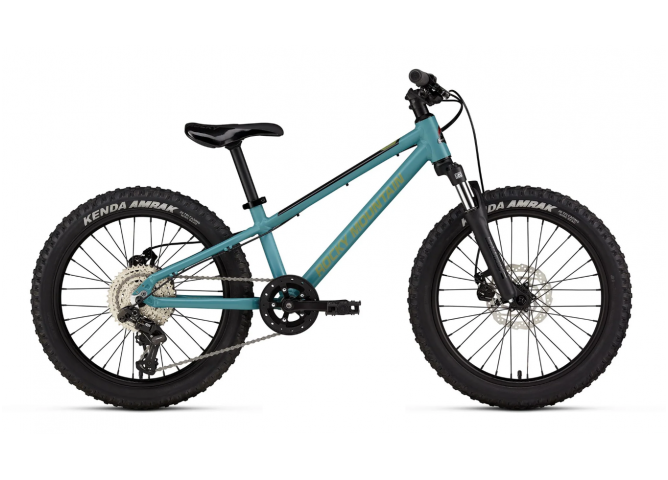 אופני הרים אלומיניום "20 ROCKY MOUNTAIN SOUL Jr